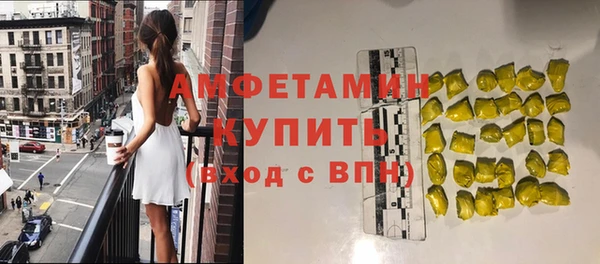 молекула духа Инта
