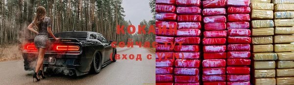 молекула духа Инта