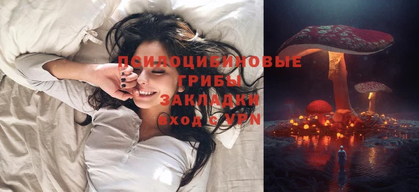 трава Иннополис