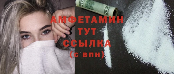 молекула духа Инта