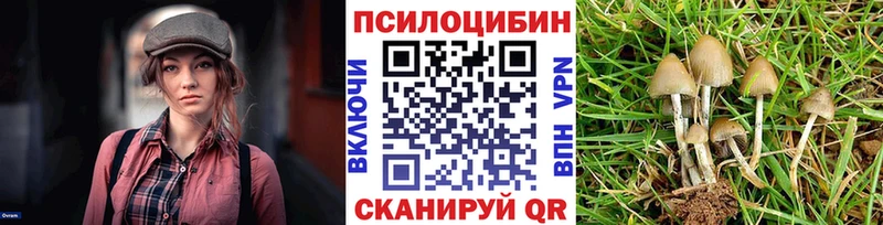 Галлюциногенные грибы GOLDEN TEACHER  Купить где  Вышний Волочёк 
